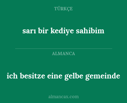 ich besitze eine gelbe gemeinde - sarı bir kediye sahibim