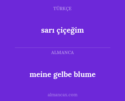 sarı çiçeğim - meine gelbe blume