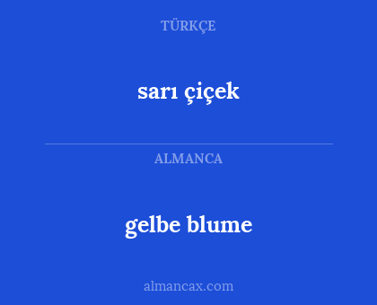 gelbe blume - sarı çiçek