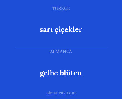 sarı çiçekler - gelbe blüten
