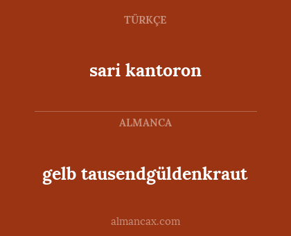 sari kantoron - gelb tausendgüldenkraut
