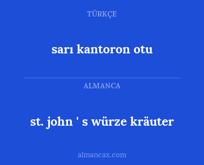 sarı kantoron otu - st. john ' s würze kräuter