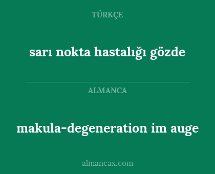 makula-degeneration im auge - sarı nokta hastalığı gözde
