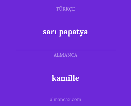 sarı papatya - kamille