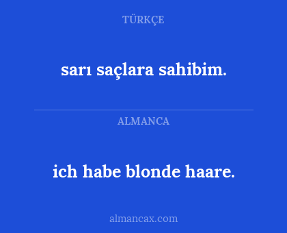 ich habe blonde haare. - sarı saçlara sahibim.