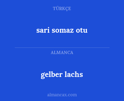 sari somaz otu - gelber lachs