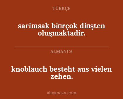 knoblauch besteht aus vielen zehen. - sarimsak bi̇rçok di̇şten oluşmaktadir.