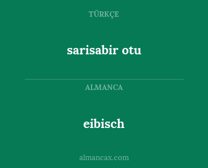 sarisabir otu - eibisch