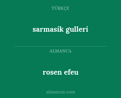 sarmasik gulleri - rosen efeu
