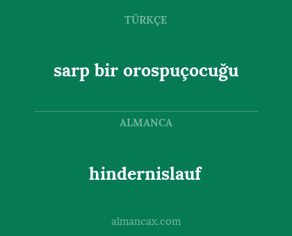 hindernislauf - sarp bir orospuçocuğu