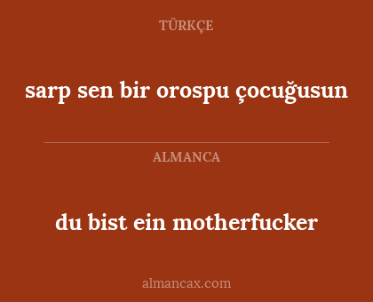 du bist ein motherfucker - sarp sen bir orospu çocuğusun