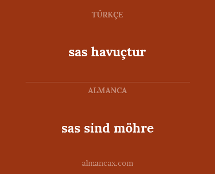 sas havuçtur - sas sind möhre