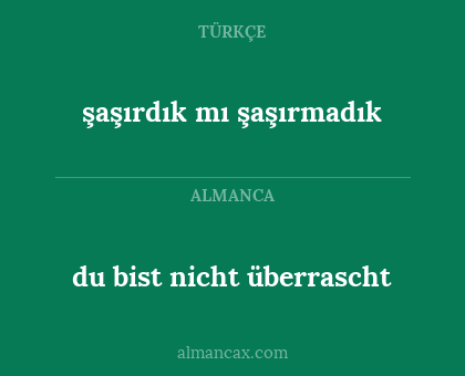 du bist nicht überrascht - şaşırdık mı şaşırmadık