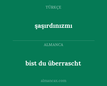 bist du überrascht - şaşırdınızmı