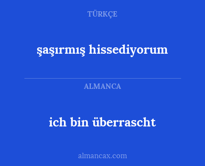 şaşırmış hissediyorum - ich bin überrascht