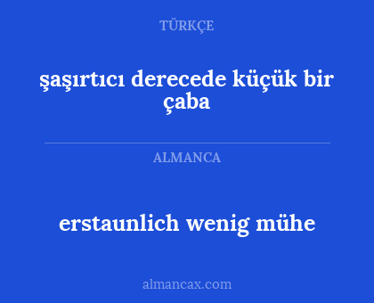 şaşırtıcı derecede küçük bir çaba - erstaunlich wenig mühe