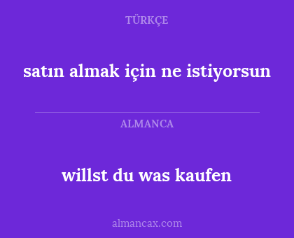 willst du was kaufen - satın almak için ne istiyorsun