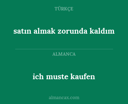 satın almak zorunda kaldım - ich muste kaufen