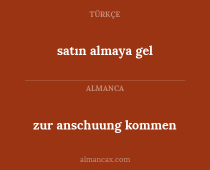 zur anschuung kommen - satın almaya gel