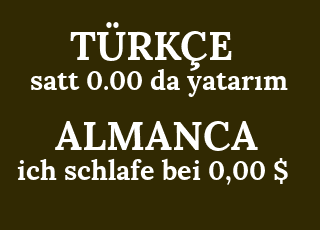satt+0.00+da+yatar%C4%B1m-ich+schlafe+bei+0%2C00+%24.png