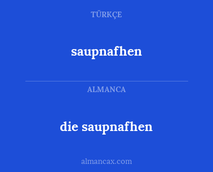 saupnafhen - die saupnafhen
