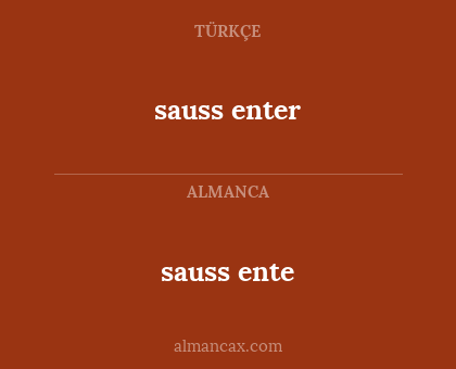 sauss ente - sauss enter