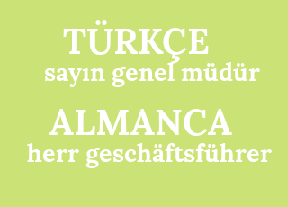 say%C4%B1n+genel+m%C3%BCd%C3%BCr-herr+gesch%C3%A4ftsf%C3%BChrer.png