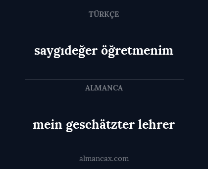 mein geschätzter lehrer - saygıdeğer öğretmenim