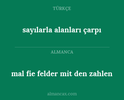 sayılarla alanları çarpı - mal fie felder mit den zahlen