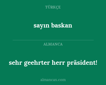 sayın baskan - sehr geehrter herr präsident!