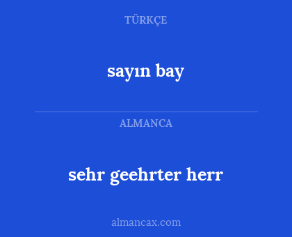 sehr geehrter herr - sayın bay