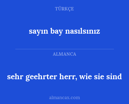sehr geehrter herr, wie sie sind - sayın bay nasılsınız