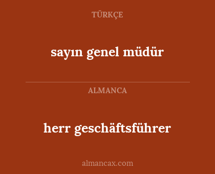 herr geschäftsführer - sayın genel müdür
