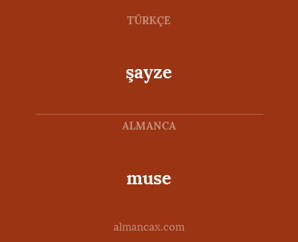 muse - şayze