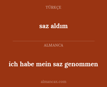 ich habe mein saz genommen - saz aldım