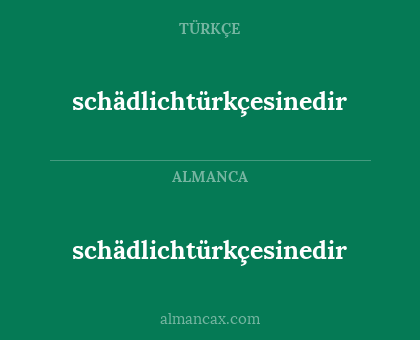 schädlichtürkçesinedir - schädlichtürkçesinedir