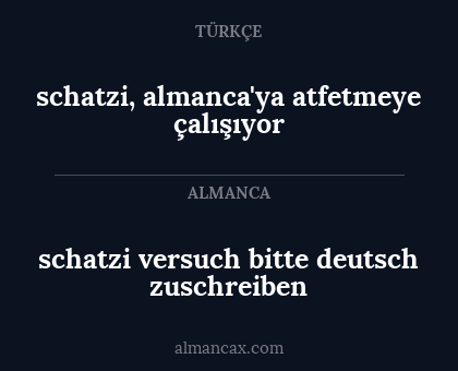 schatzi, almanca'ya atfetmeye çalışıyor - schatzi versuch bitte deutsch zuschreiben