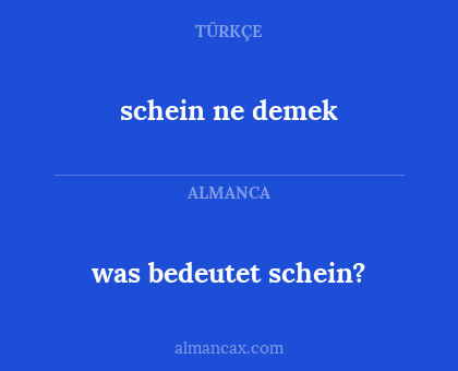 schein ne demek - was bedeutet schein?