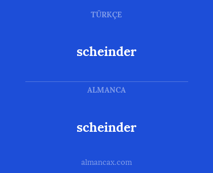 scheinder - scheinder