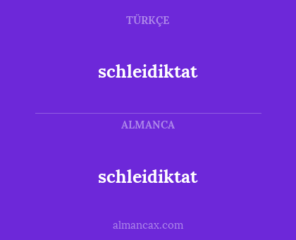 schleidiktat - schleidiktat