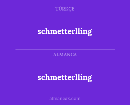 schmetterlling - schmetterlling