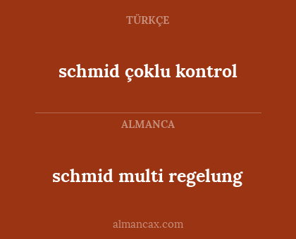 schmid multi regelung - schmid çoklu kontrol