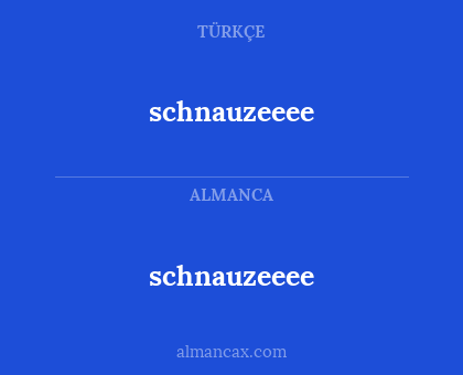 schnauzeeee - schnauzeeee