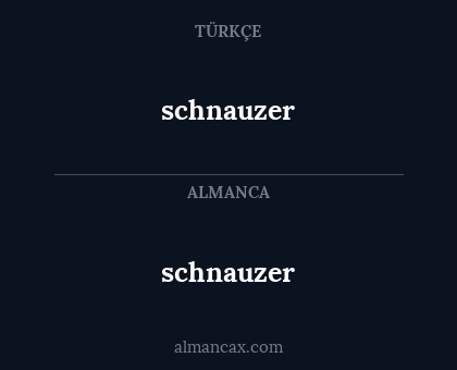 schnauzer - schnauzer