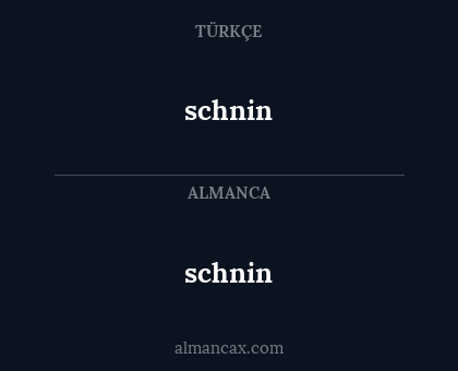 schnin - schnin