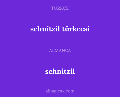 schnitzil - schnitzil türkcesi