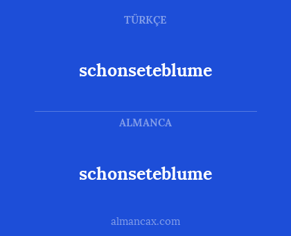 schonseteblume - schonseteblume