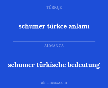 schumer türkische bedeutung - schumer türkce anlamı