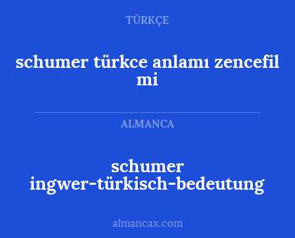 schumer ingwer-türkisch-bedeutung - schumer türkce anlamı zencefil mi
