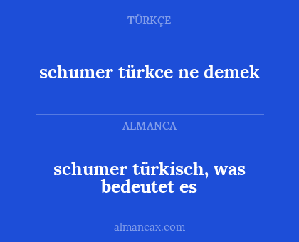 schumer türkce ne demek - schumer türkisch, was bedeutet es